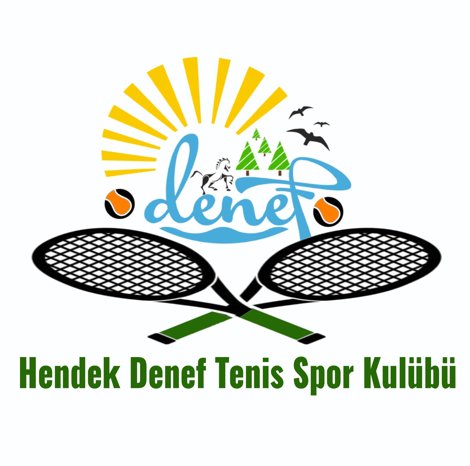 Hendek Denef Tenis Spor Kulübü Logo — Denef